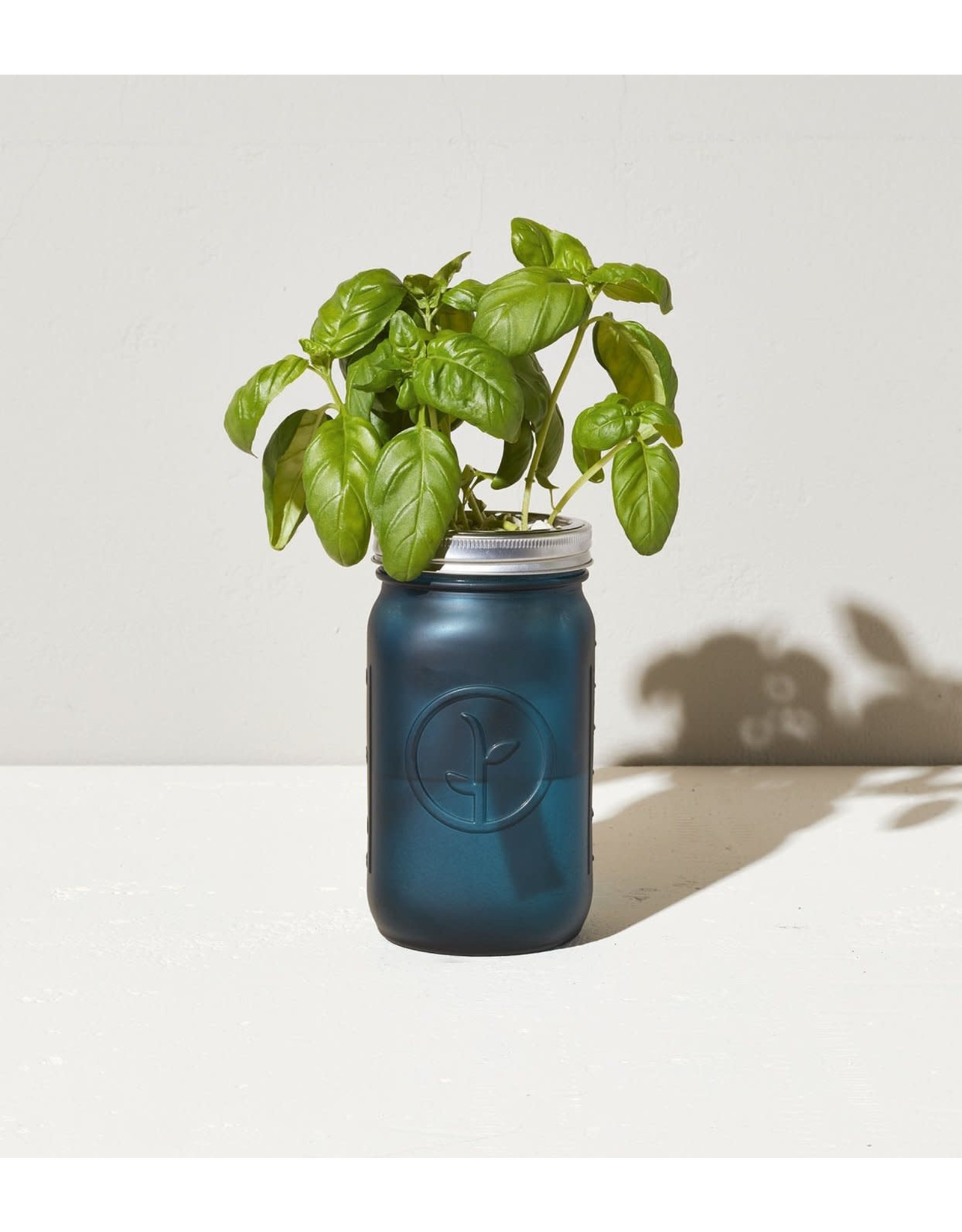 Garden Jar - Basil