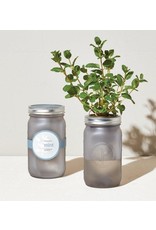 Garden Jar - Mint