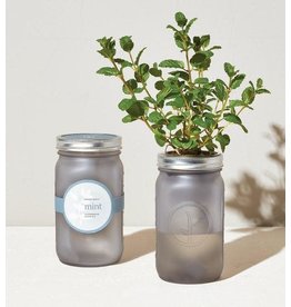 Garden Jar - Mint