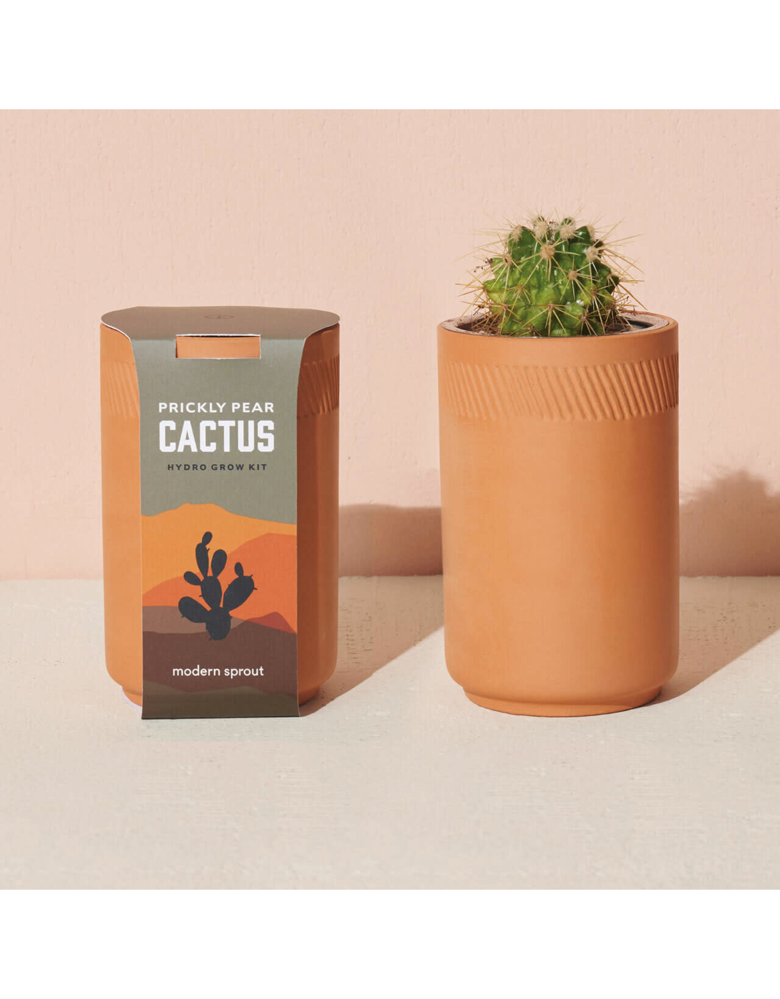 Terracotta Kit - Prickly Pear Cactus