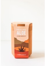 Terracotta Kit - Aloe