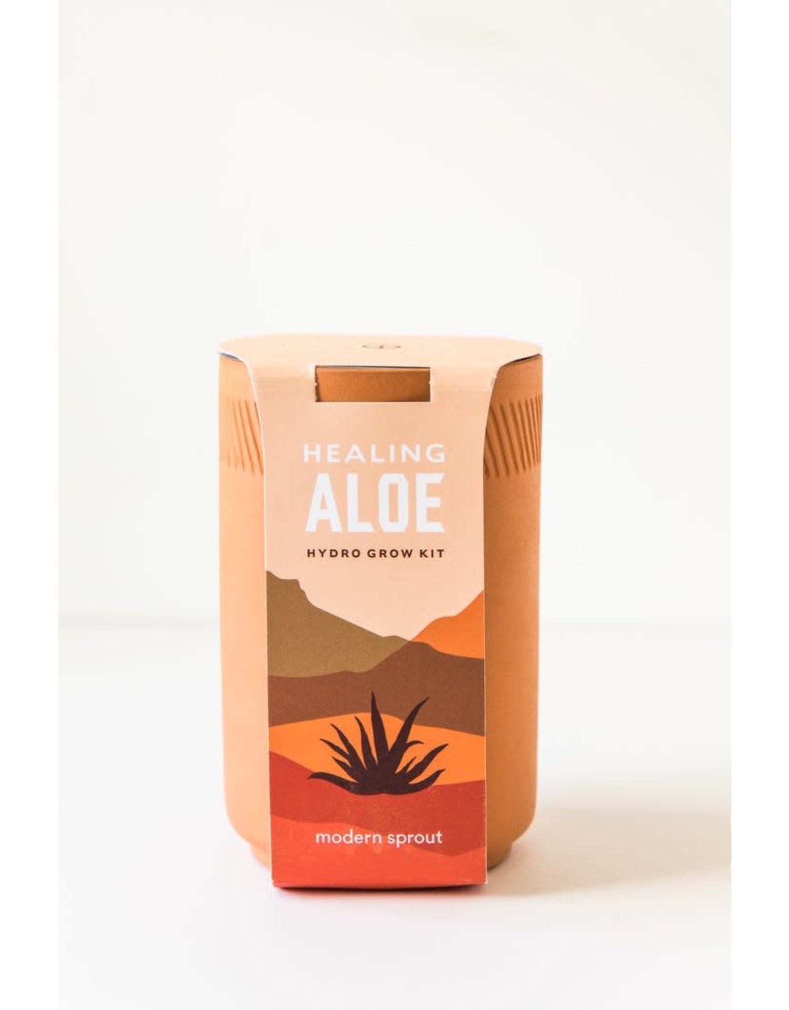 Terracotta Kit - Aloe