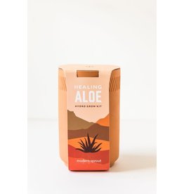 Terracotta Kit - Aloe