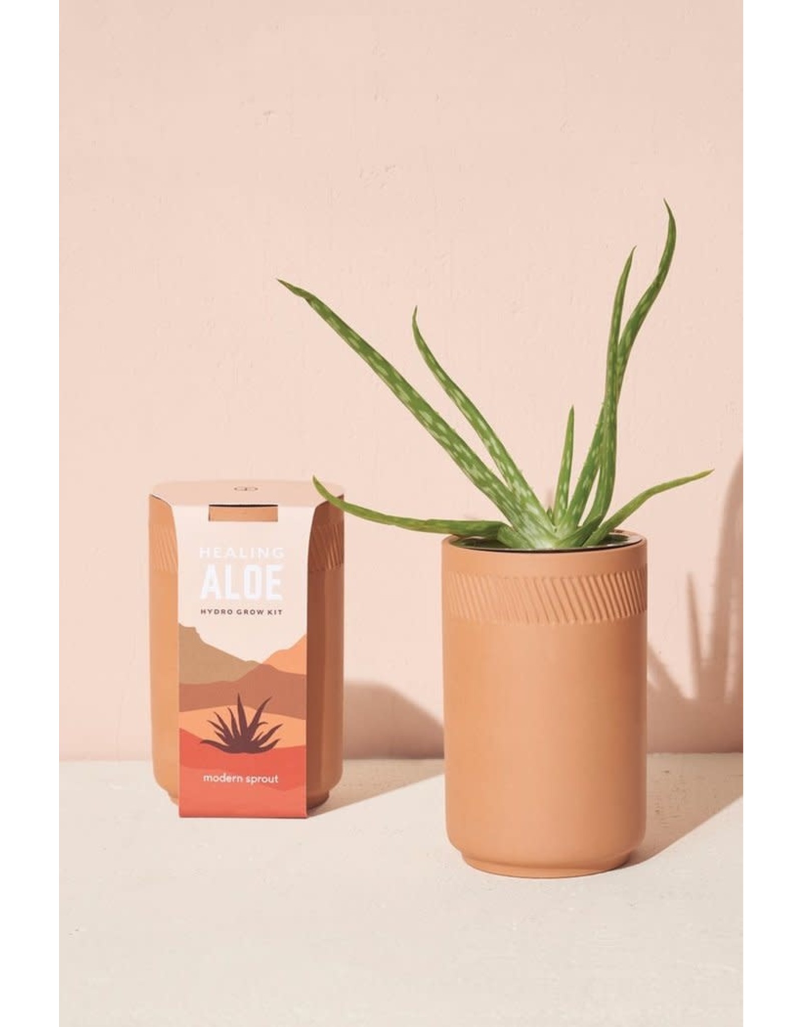Terracotta Kit - Aloe