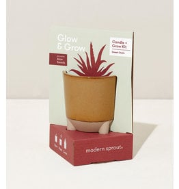 Glow & Grow Desert Oasis Candle + Kit