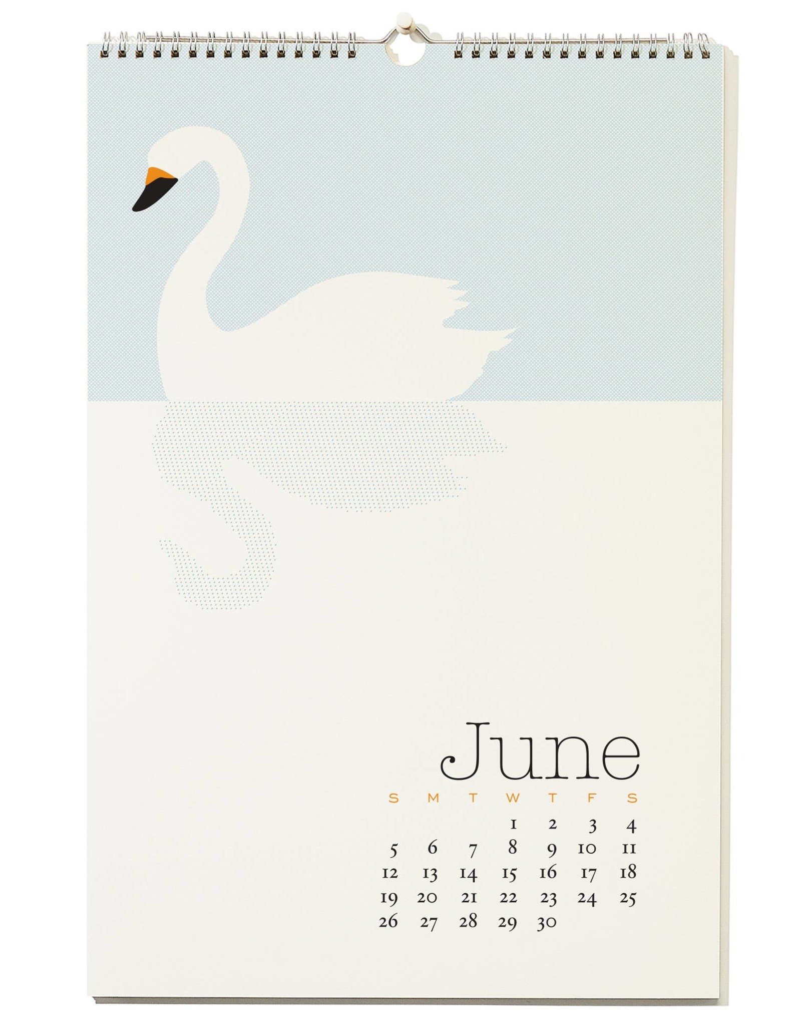 Snow And Graham 2022 Calendar 2022 Wall Calendar - Orange Bird