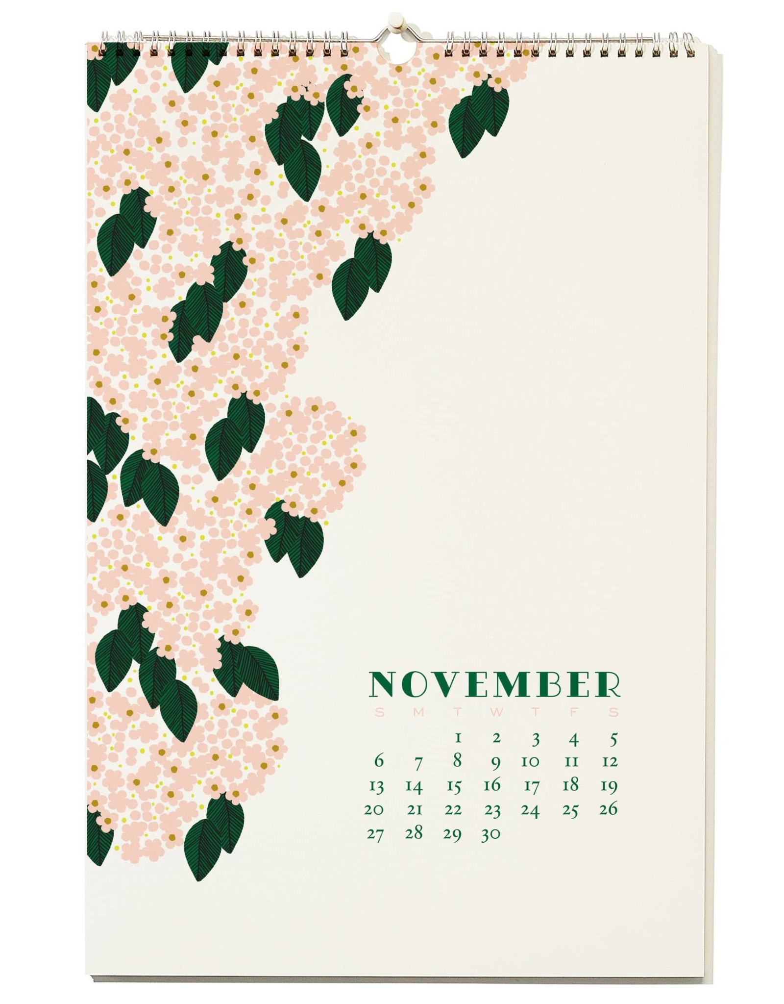 Snow And Graham 2022 Calendar 2022 Wall Calendar - Orange Bird