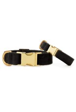 Black Velvet Dog Collar