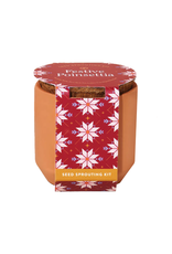 Tiny Terracotta Kit - Festive Poinsettia