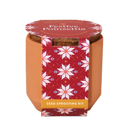 Tiny Terracotta Kit - Festive Poinsettia