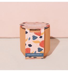 Tiny Terracotta Kit - Champagne Poppies