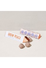 Bright Side Seed Balls - Grow Peace