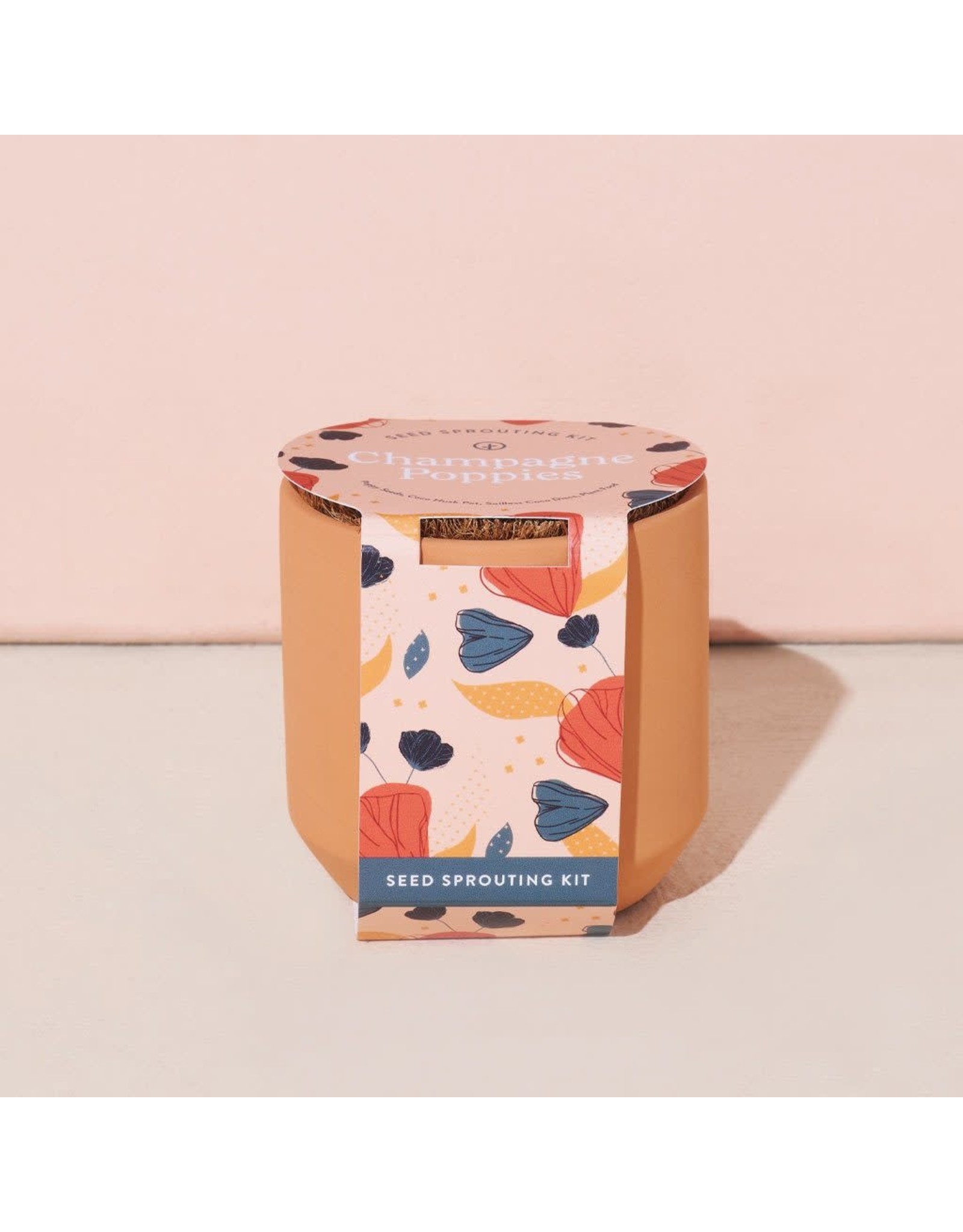 Tiny Terracotta Kit - Champagne Poppies