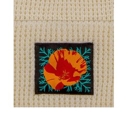 Culk Poppy Beanie - Cream