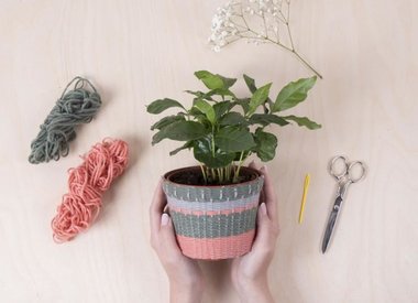 Plants & Planters