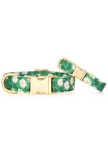 Coming Up Daisies Dog Collar