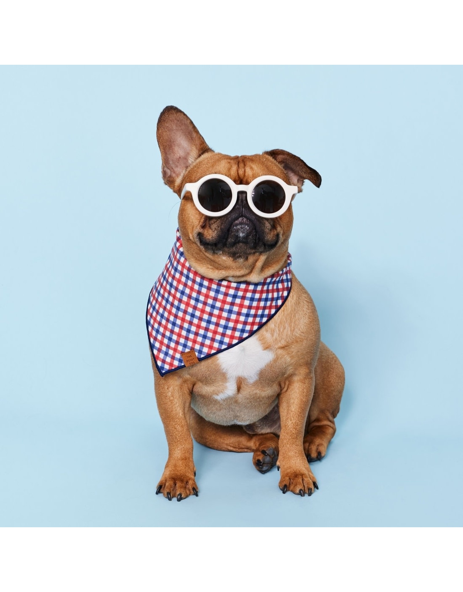 Americana Dog Bandana