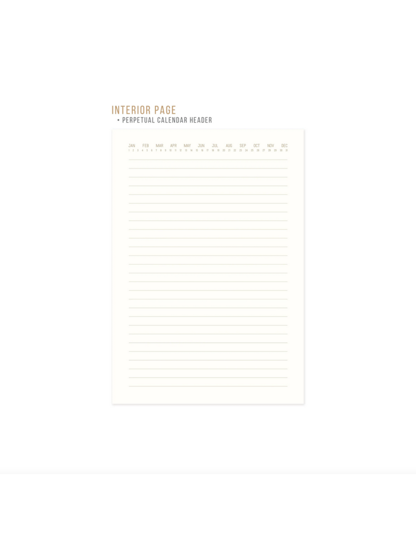 Designworks Ink Journal - Dusty Pink Radiant Rainbow