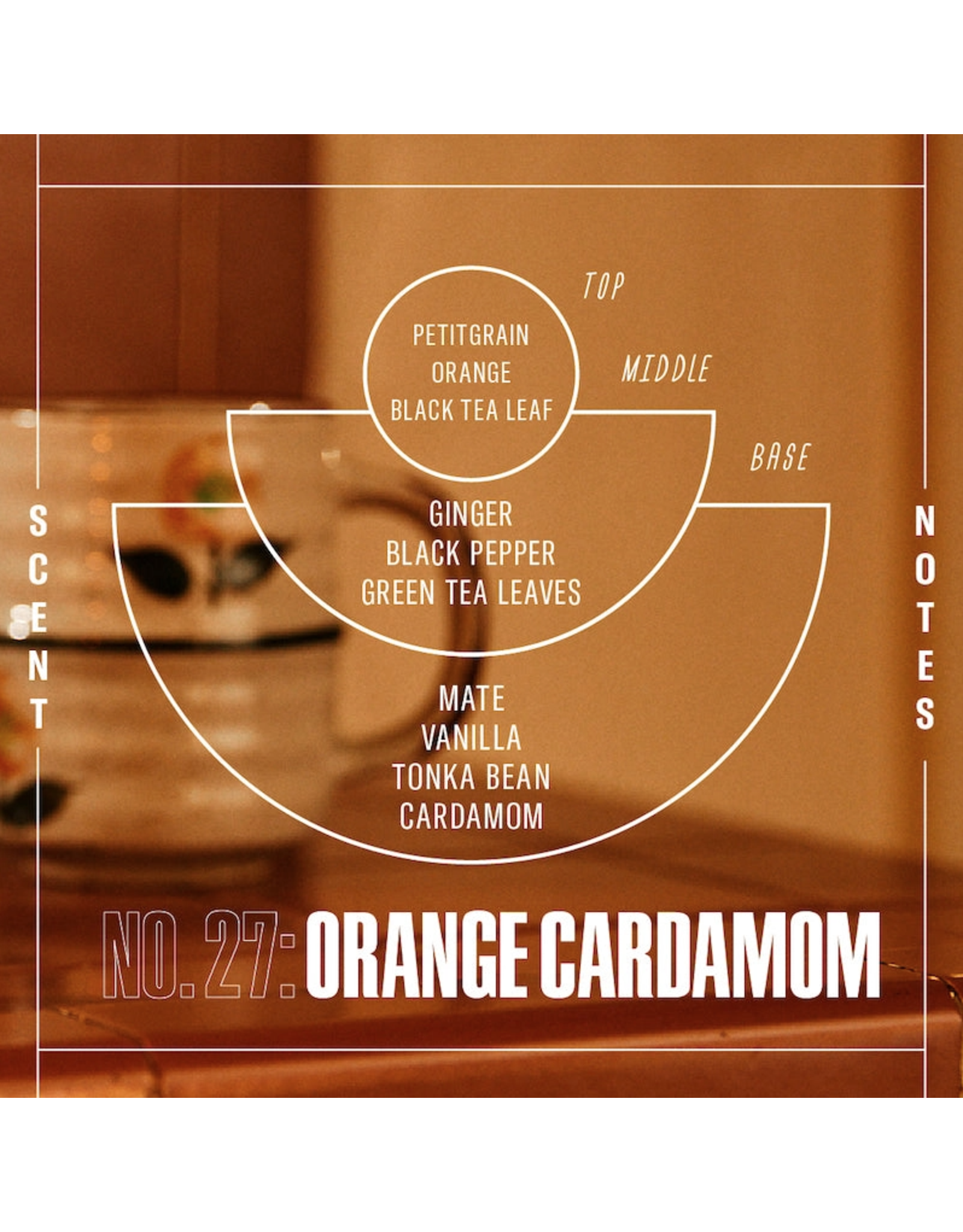 Orange Cardamom - 7.2 oz Soy Candle