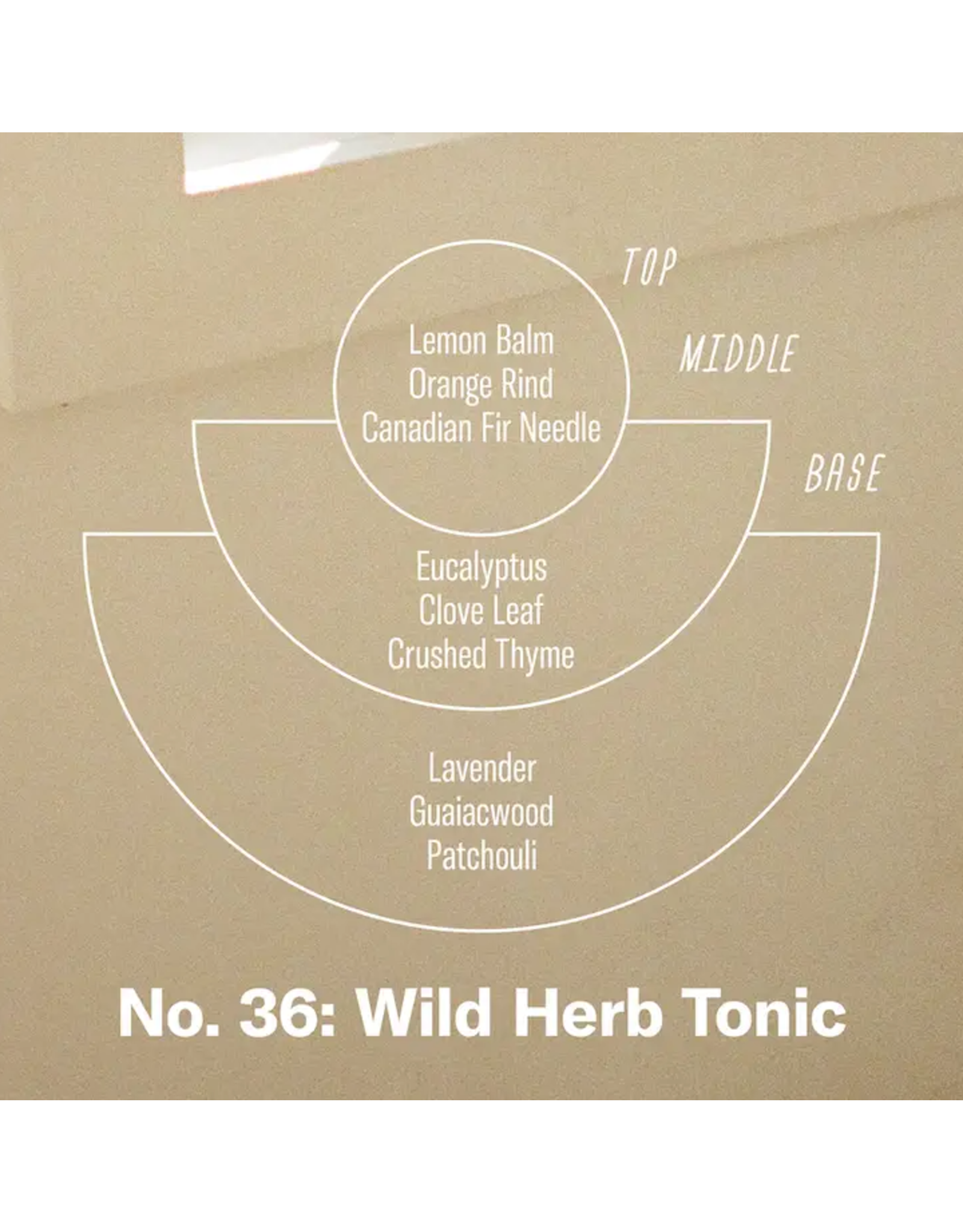 Wild Herb Tonic - 3.5 oz Reed Diffuser