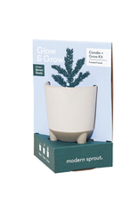 Glow & Grow Frosted Forest Candle + Kit