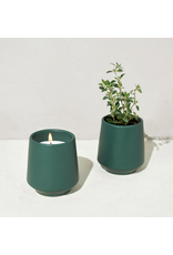 Rooted Candle - Thyme