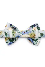 Rifle Paper Co. x TFD Vintage Blossom Spring Dog Bow Tie