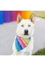 Over the Rainbow Dog Bandana