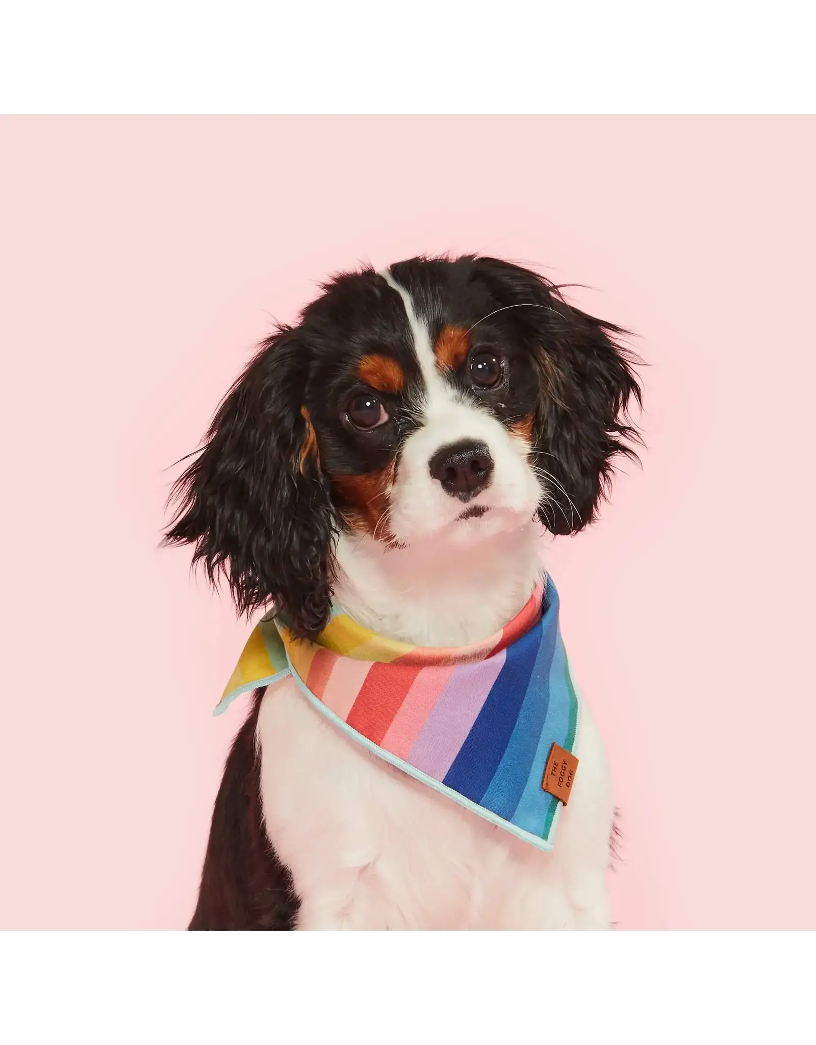 Over the Rainbow Dog Bandana