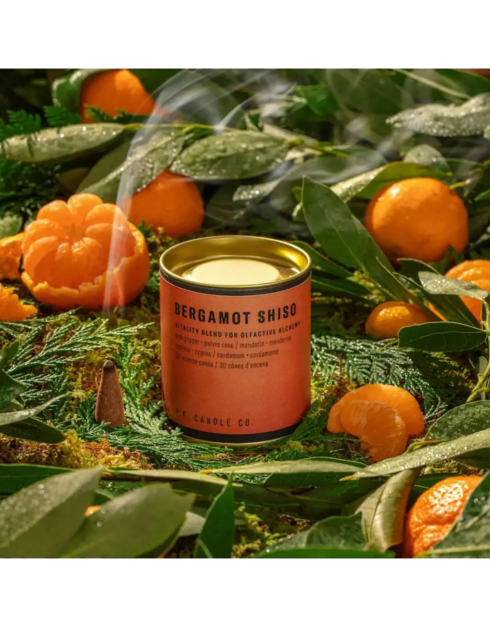 Alchemy Incense Cones - Bergamot Shiso