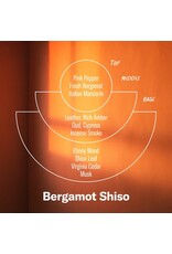 Alchemy Incense Cones - Bergamot Shiso