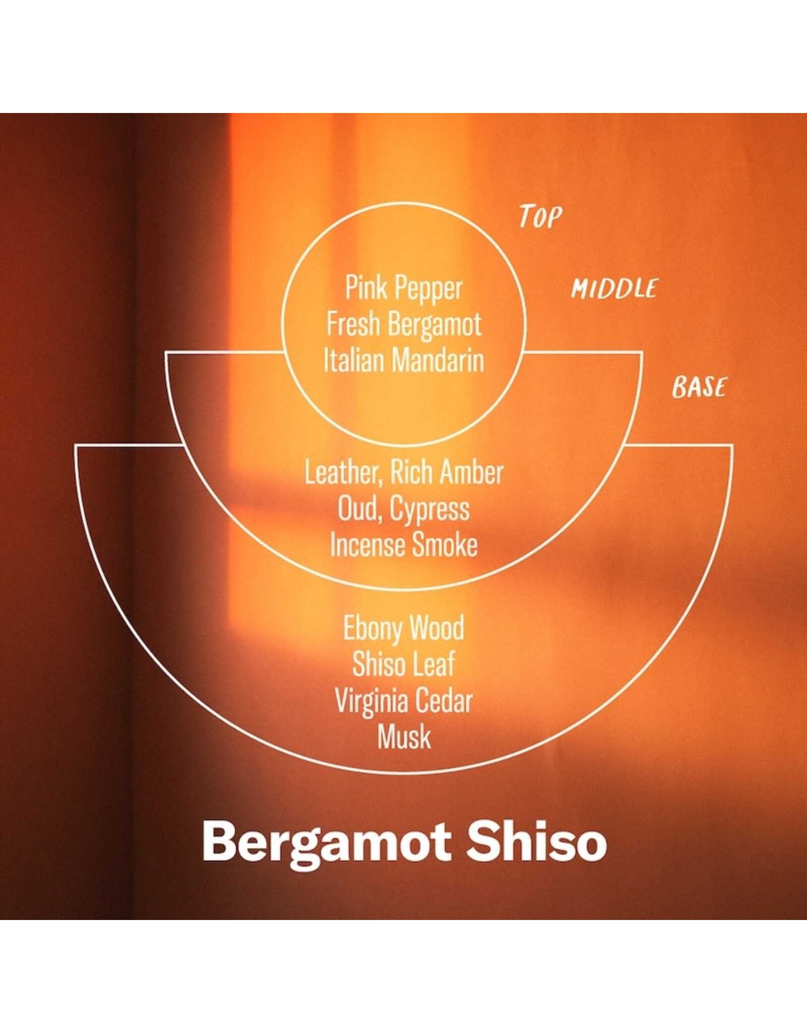 Alchemy Incense Cones - Bergamot Shiso