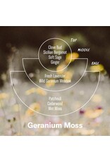 Alchemy Incense Cones - Geranium Moss Alchemy Incense Cones - Geranium Moss