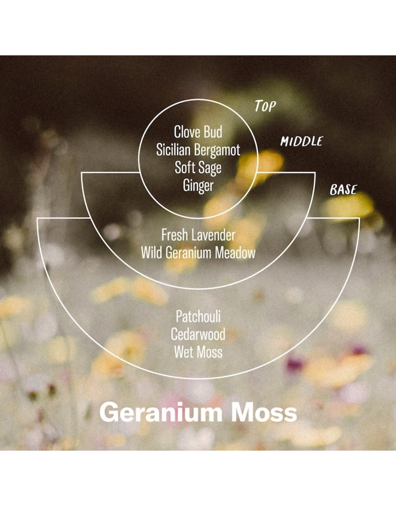 Alchemy Incense Cones - Geranium Moss