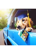 Liyana Studio Grad Adventure Begins Card