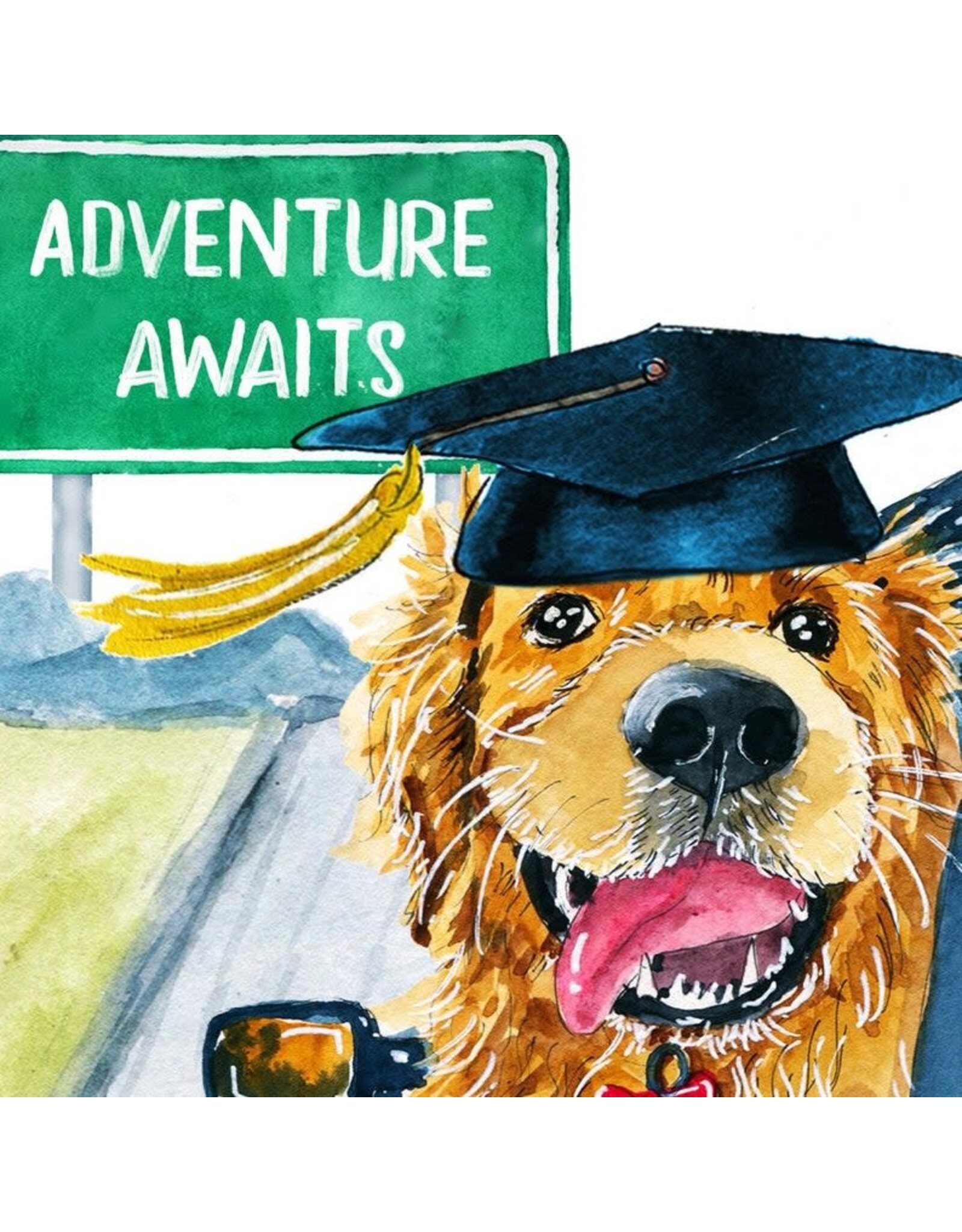 Liyana Studio Grad Adventure Begins Card