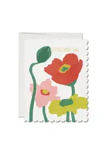 Scalloped Poppy Thank You Card Box Set