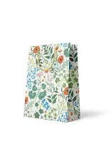 Amy Heitman Primary Garden Gift Bag