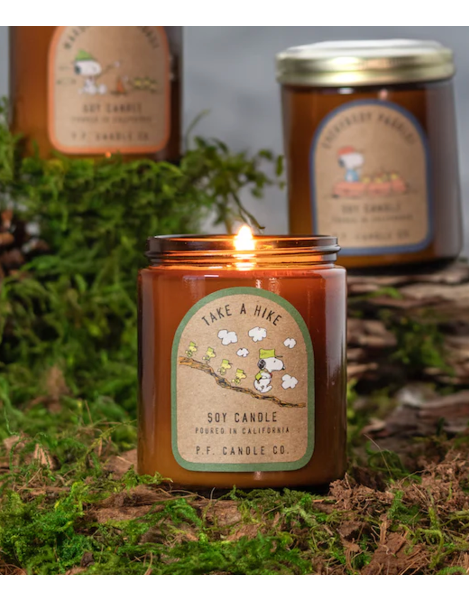 Take A Hike For Peanuts 7.2 oz Candle
