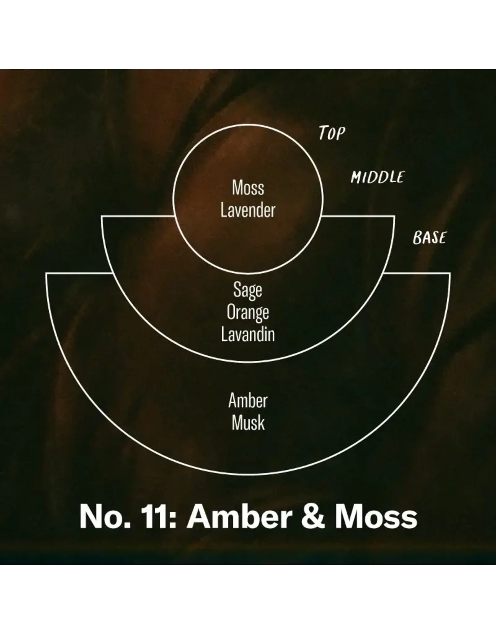 Amber & Moss - 12.5oz Candle Concentrated