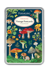 Cavallini Foraging Vintage Postcard Set