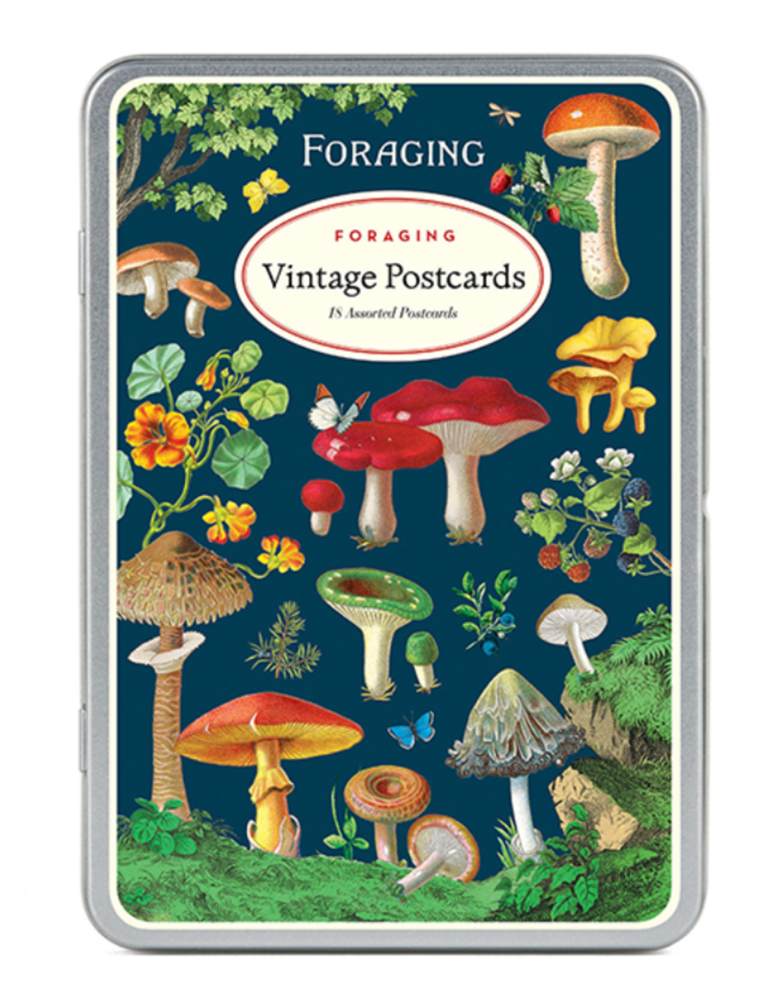 Cavallini Foraging Vintage Postcard Set