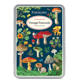 Cavallini Foraging Vintage Postcard Set
