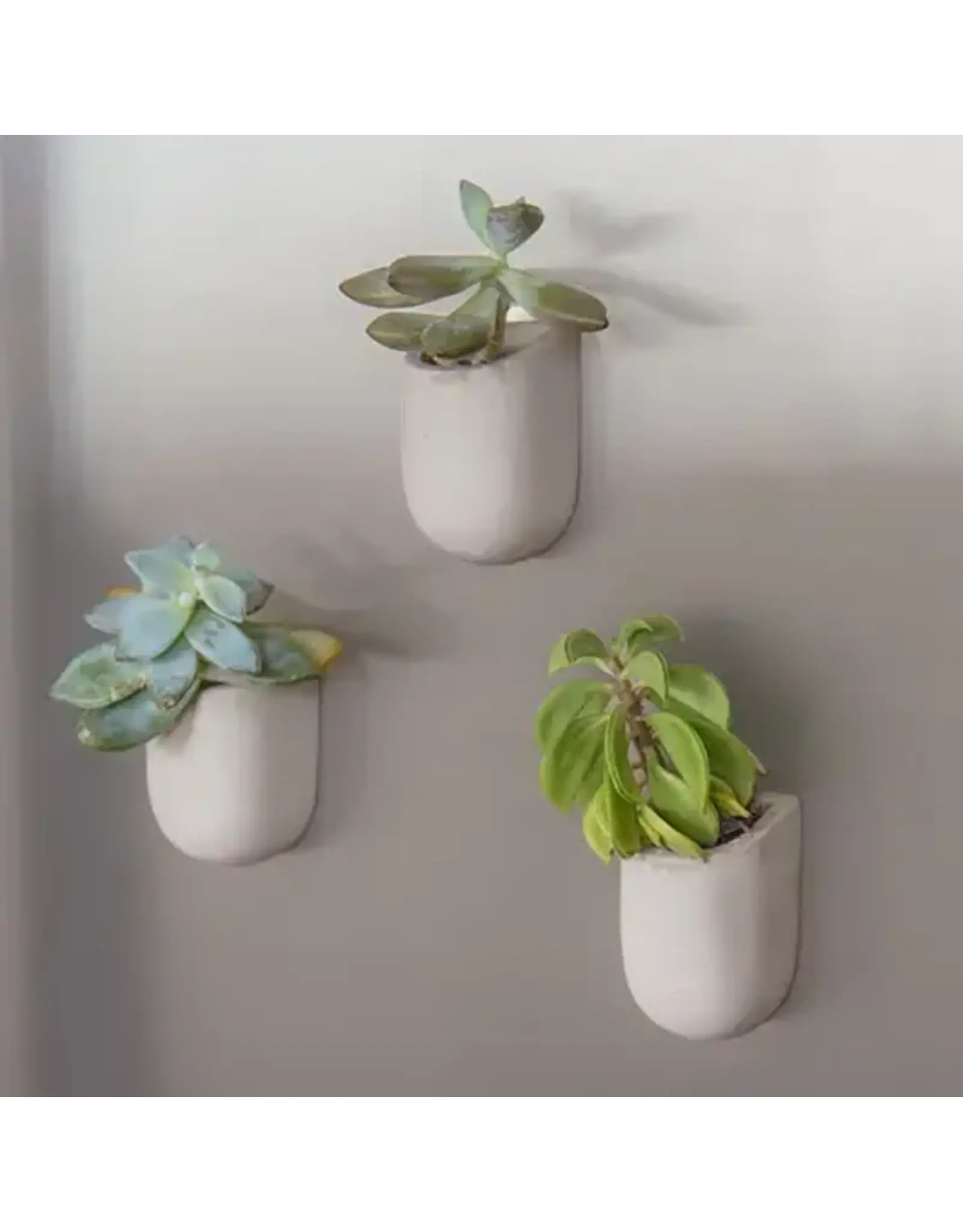 Gift Republic Magnetic Plant Pots