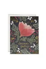 Amaryllis Holiday Card