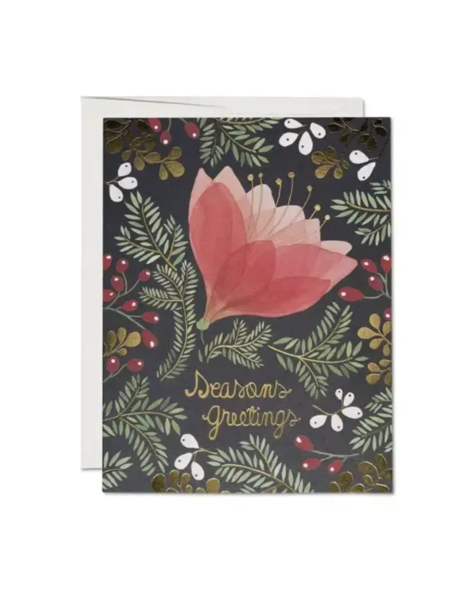 Amaryllis Holiday Card