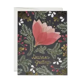 Amaryllis Holiday Card