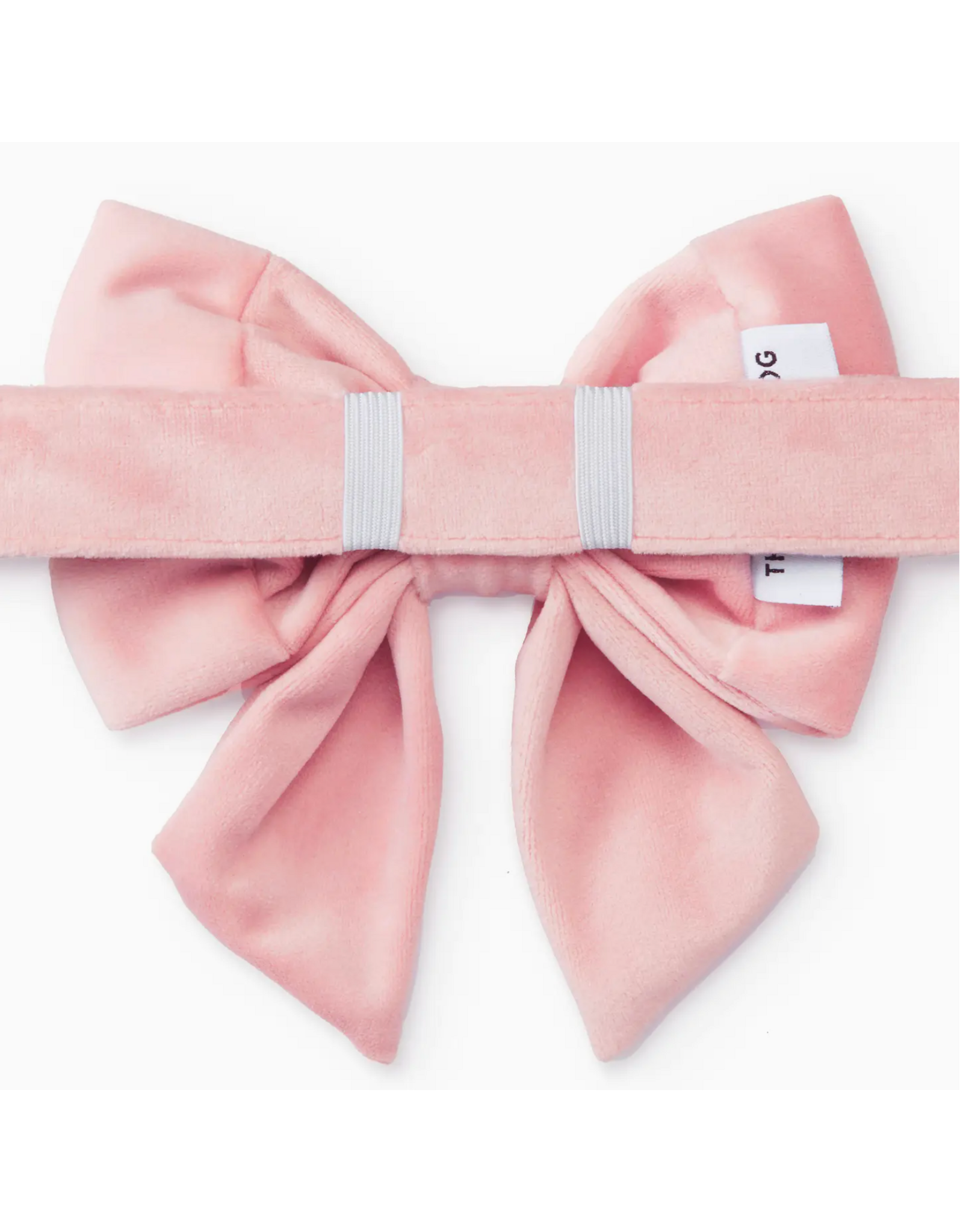 Blush Pink Velvet Lady Dog Bow