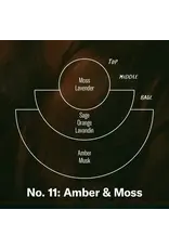 Amber & Moss - 12.5oz Candle