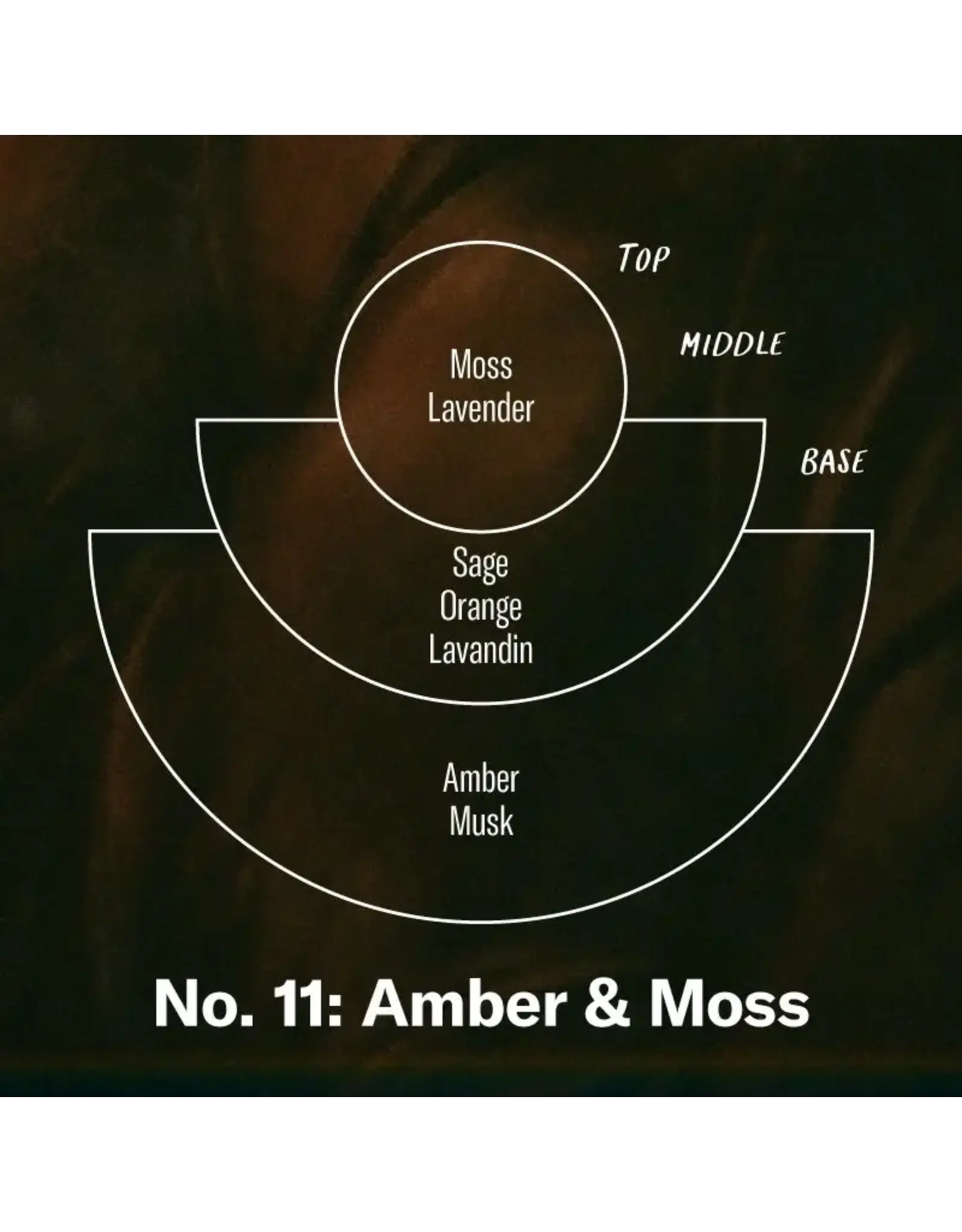 Amber & Moss - 12.5oz Candle